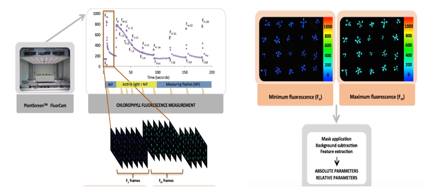 微信截圖_20230404113949.png 微信截圖_20230404113949.png